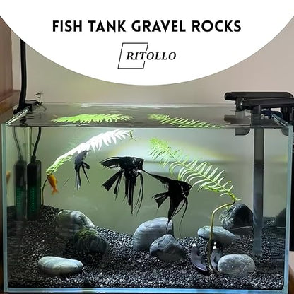 12 lb Black Pebble Rocks 3/5-8/5 Inch Polished River Stones for Indoor Plants, Garden Landscaping, Vase Fillers & Aquarium Decor - Natural Decorative Rocks for Succulents, Bonsai, Terrariums