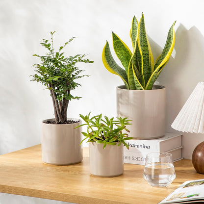 vancasso Ceramic Plant Pots, 4.25+5.25+6.25 Inch Planter Pot with Drainage Hole, Flower Pots for Indoor Outdoor Plants, Set of 3, Grey