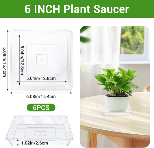 GREANER 6 Inch Square Plant Saucer, 6 PCS Plastic Tray for Indoors, Durable Thick Flower Pot Plant Drip No Holes, Clear Plant Water Catcher Tray for Indoor Outdoor Planter