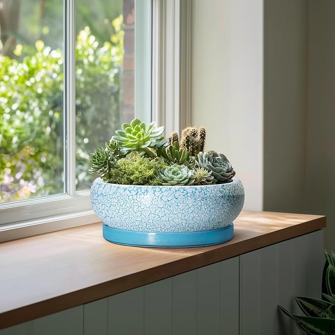 Bonsai Pots - 13 Inch Ceramic Succulent Pots with Drainage Hole and Tray, Large Succulent Planter Indoor Outdoor, Round Planter, Shallow Plant Pot, House Decor, Gifts for Plant Lover, Blue