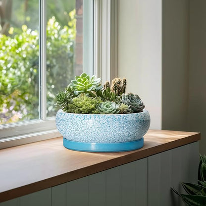 Bonsai Pots - 13 Inch Ceramic Succulent Pots with Drainage Hole and Tray, Large Succulent Planter Indoor Outdoor, Round Planter, Shallow Plant Pot, House Decor, Gifts for Plant Lover, Blue