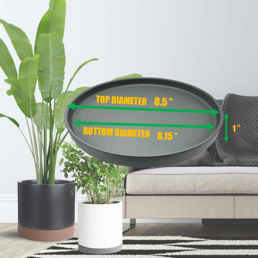 2 Pack Ceramic Plant Saucer Pot Tray 8 Inch, Planter Saucers 4 5 6 7 8 9 10 11 12 13 Inch for Indoors Outdoor, Durable Sturdy Flower Drainage drip Water Tray for Glazed Pots Base (8.5 Inch-Grey)