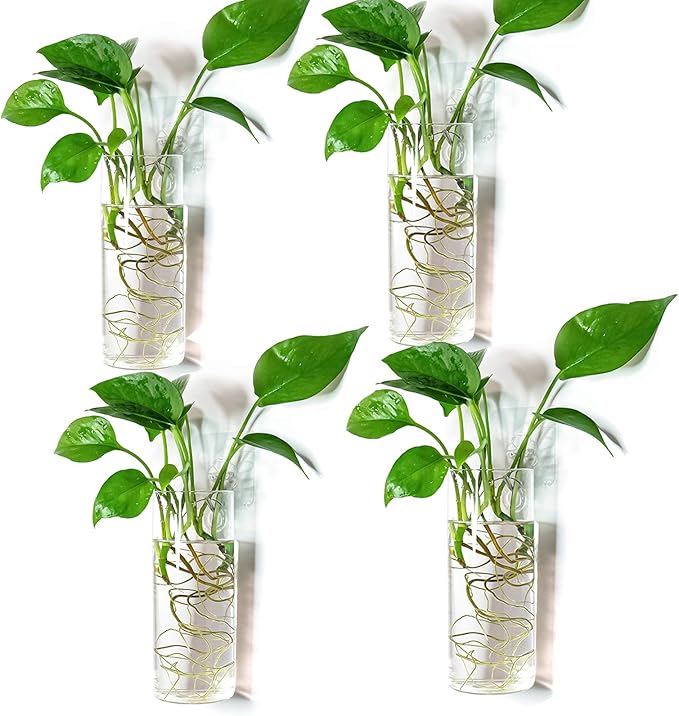 Kingbuy Glass Tube Wall Planter Propagation Station - 4 Pack Terrarium Cylinder Wall Vase with Plant Holder Hydroponic Planter for Home Kitchen Office Decor, Perfect Plant Lover Gifts (Short Cylinder)