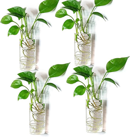 Kingbuy Glass Tube Wall Planter Propagation Station - 4 Pack Terrarium Cylinder Wall Vase with Plant Holder Hydroponic Planter for Home Kitchen Office Decor, Perfect Plant Lover Gifts (Short Cylinder)