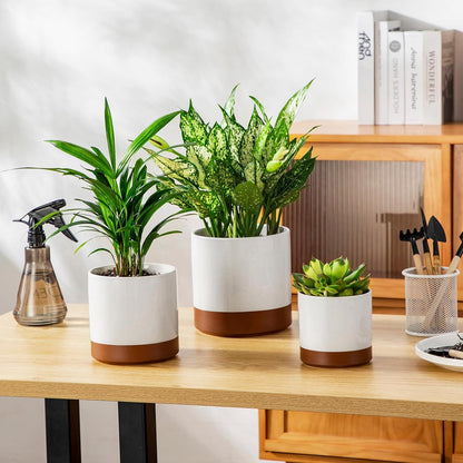 vancasso Ceramic Plant Pots, 4.25+5.25+6.25 Inch Planter Pot with Drainage Hole, Flower Pots for Indoor Outdoor Plants, Set of 3, Khaki