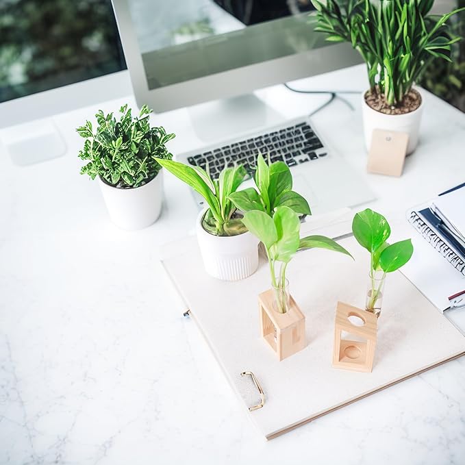 Propagation Station, Plants Terrarium, Plants Lover Gifts for Women,Plant Cutting Holder Home décor,Gifts for Women,House Warming New Home-2 Tubes-Beige