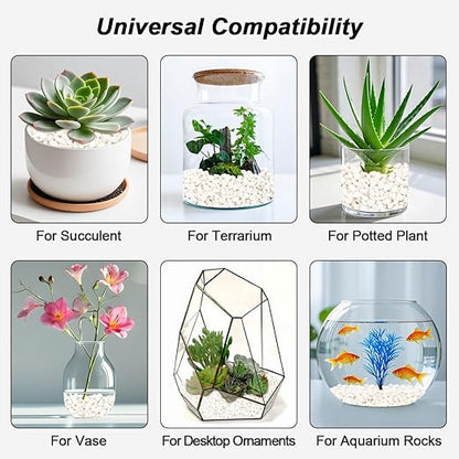 Landscaping Pebbles River Rocks Decorative Ornamental Pebbles Garden Landscaping Stones Gravel Filler for Home Decoration Flower Bed Fish Tank Plants Vases Succulents (1, White, 1 Pound)
