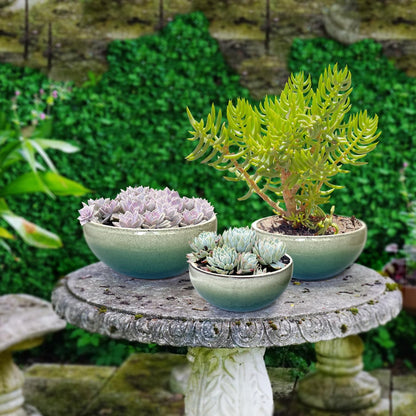 11 9 7 Inch Succulent Pot with Drainage and Mesh Pads Large Round Ceramic Plant Pot for Indoor Outdoor Plants Succulent Planter Cactus Bonsai Pot Container Set of 3 (White Green)