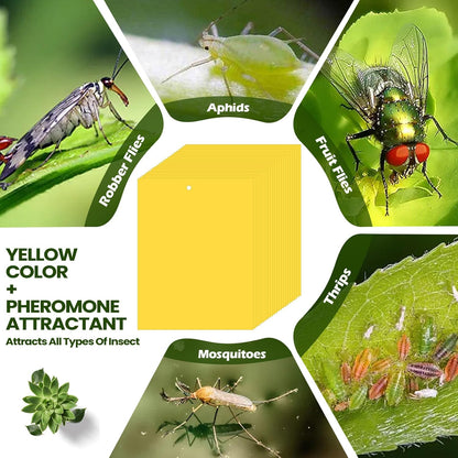 Qualirey 20 Pcs 6 x 8 Inch Sticky Traps for Plant Double Sided Sticky Trap for Gnats with Twist Ties Fly Traps for Fruit Insect Fungus Bugs Indoor Outdoor (Yellow)