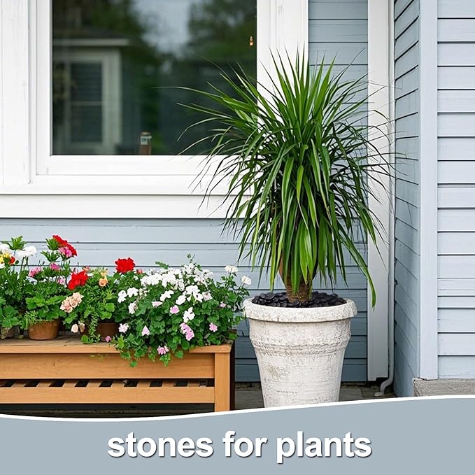 Calofulston 2.2LB Black Rock, Small River Stones Pebbles for Plants, Vases, Landscaping, Highly Polished Decorative Rocks, 1-1 3/4 Inch