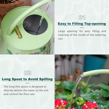 Berry&Bird House Plants Watering Can - Indoor & Outdoor 1/2 Gallon Stainless Steel Water Can with Long Spout Garden Decoration for Flower Bonsai Succulent Gardening Large Watwer Bottle(2L/Robin)