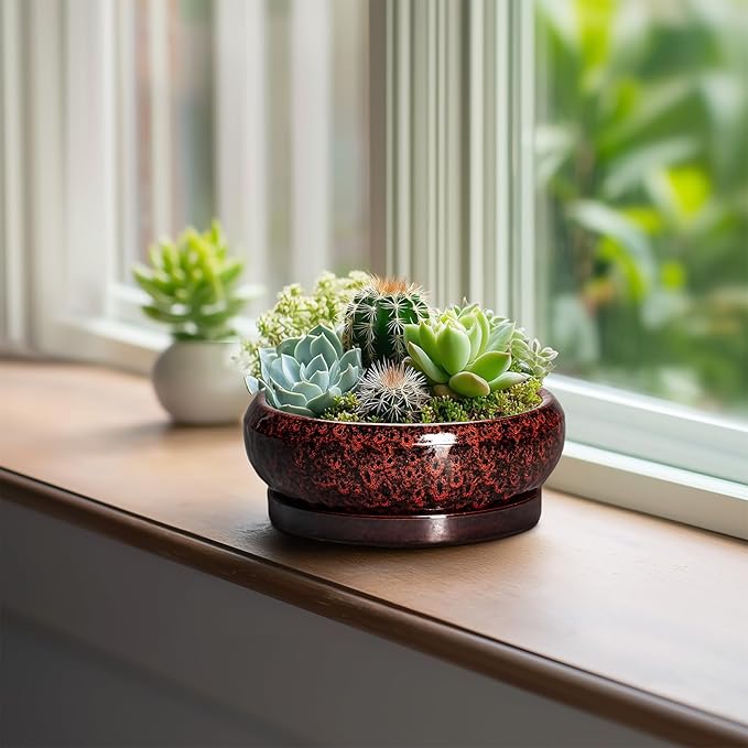 Succulent Planters 6 Inch - Ceramic Bonsai Pots with Drainage Hole and Saucer, Small Bonsai Planter, Round Planter Bowl, Shallow Plant Pots Indoor, Room Decor, Gifts for Plant Lovers, Red
