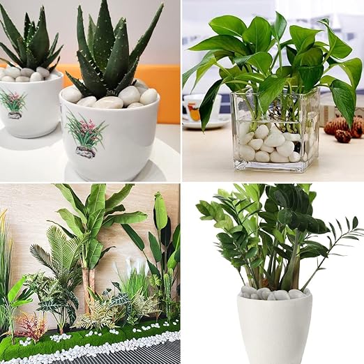 5LB Polished White River Rocks for Plants,1-2.2 Inch Polished Pebbles for Garden Decoration Stones for Landscaping Aquarium Fish Tank Succulents