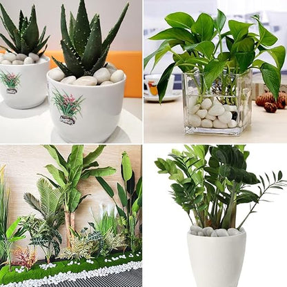 5LB Polished White River Rocks for Plants,1-2.2 Inch Polished Pebbles for Garden Decoration Stones for Landscaping Aquarium Fish Tank Succulents