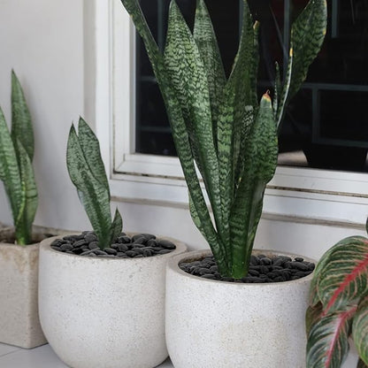 Mr. Fireglass 10 lbs Black Pebbles, 3/8" Natural Decorative Polished River Rocks Aquarium Gravel for Indoor Plants, Vases, Succulents and Outdoor Garden Landscaping