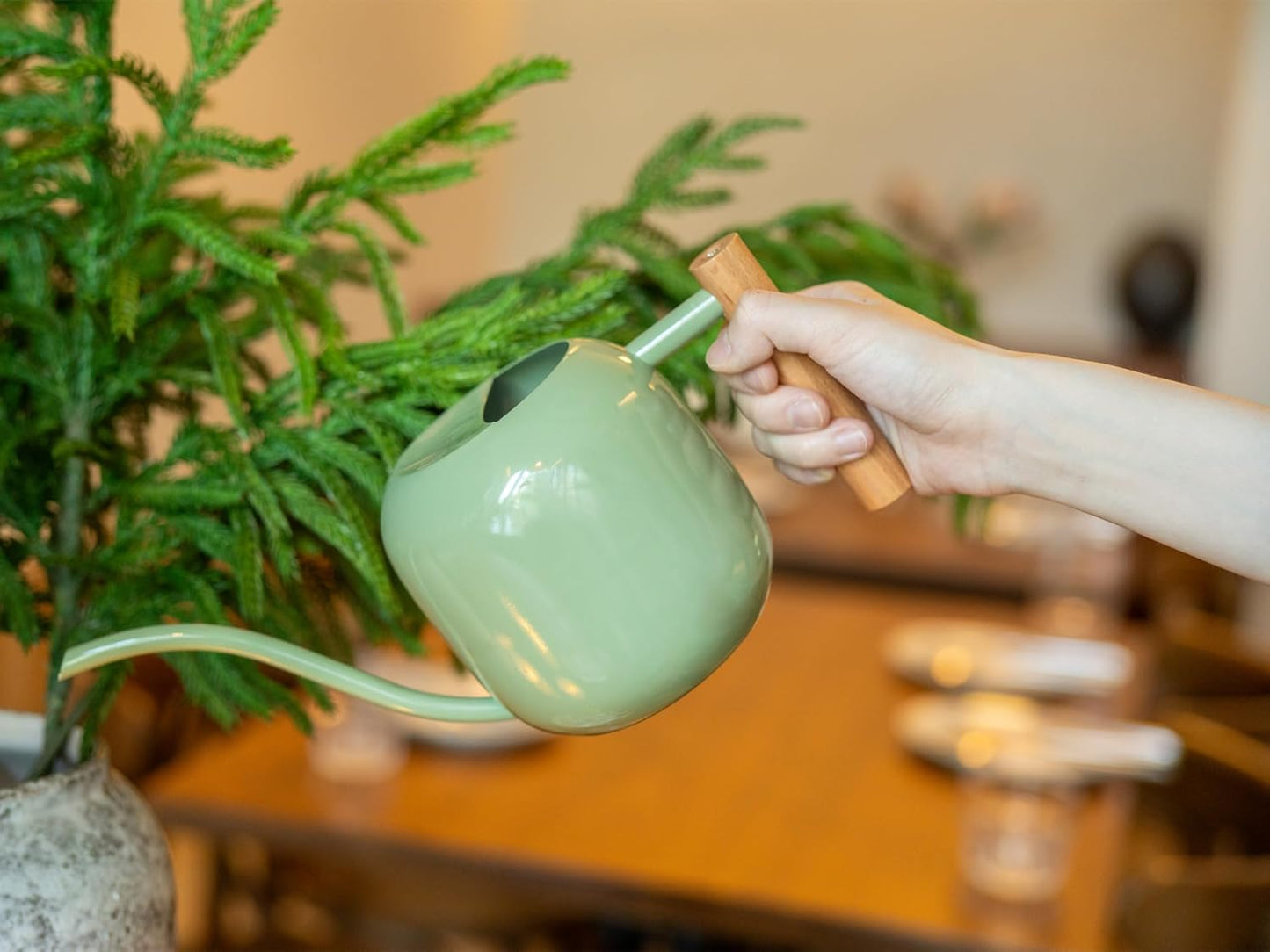 Green Moon Watering Can Indoor Plants 1.2L/41oz Sage Green Water Can Indoor Metal Small Water Can Pot with Long Spout for House Bonsai Plants Garden Flower Decorative