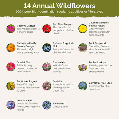 Eden Brothers Fairytale Flower Mixed Seeds for Planting, 1/4 lb, 120,000+ Seeds with Calendula, Cosmos Dazzler, Cornflower, Attracts Pollinators, Plant in Spring or Fall, Zones 3, 4, 5, 6, 7, 8, 9, 10