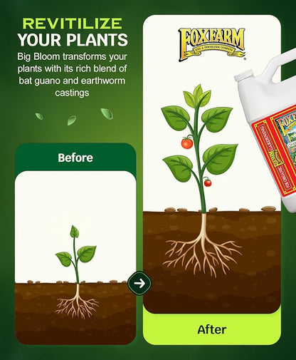 FoxFarm - Big Bloom Plant Food, Liquid Fertilizer Concentrate for Flowers, Fruits, and Vegetables, All Purpose Plant Fertilizer for Indoor & Outdoor Potted Plants, NPK 0-0.5-0.7 (Gallon)