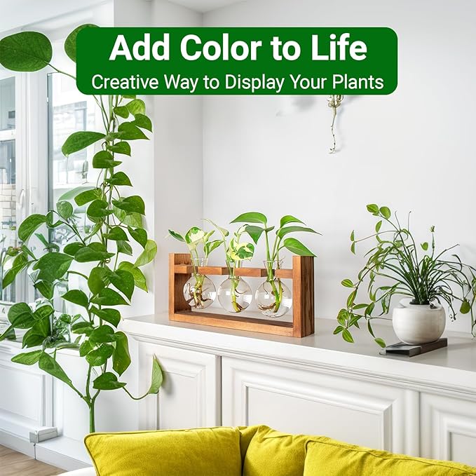 Propagation Station, Plants Terrarium, Plants Lover Gifts for Women,Plant Cutting Holder Home décor,Gifts for Women,House Warming New Home-3 Bulbs-Easy