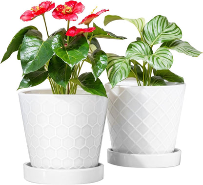 BUYMAX Plant Pots Indoor –6 inch Ceramic Flower Pot with Drainage Hole and Ceramic Tray - Gardening Home Desktop Office Windowsill Decoration Gift, Set of 2(White)