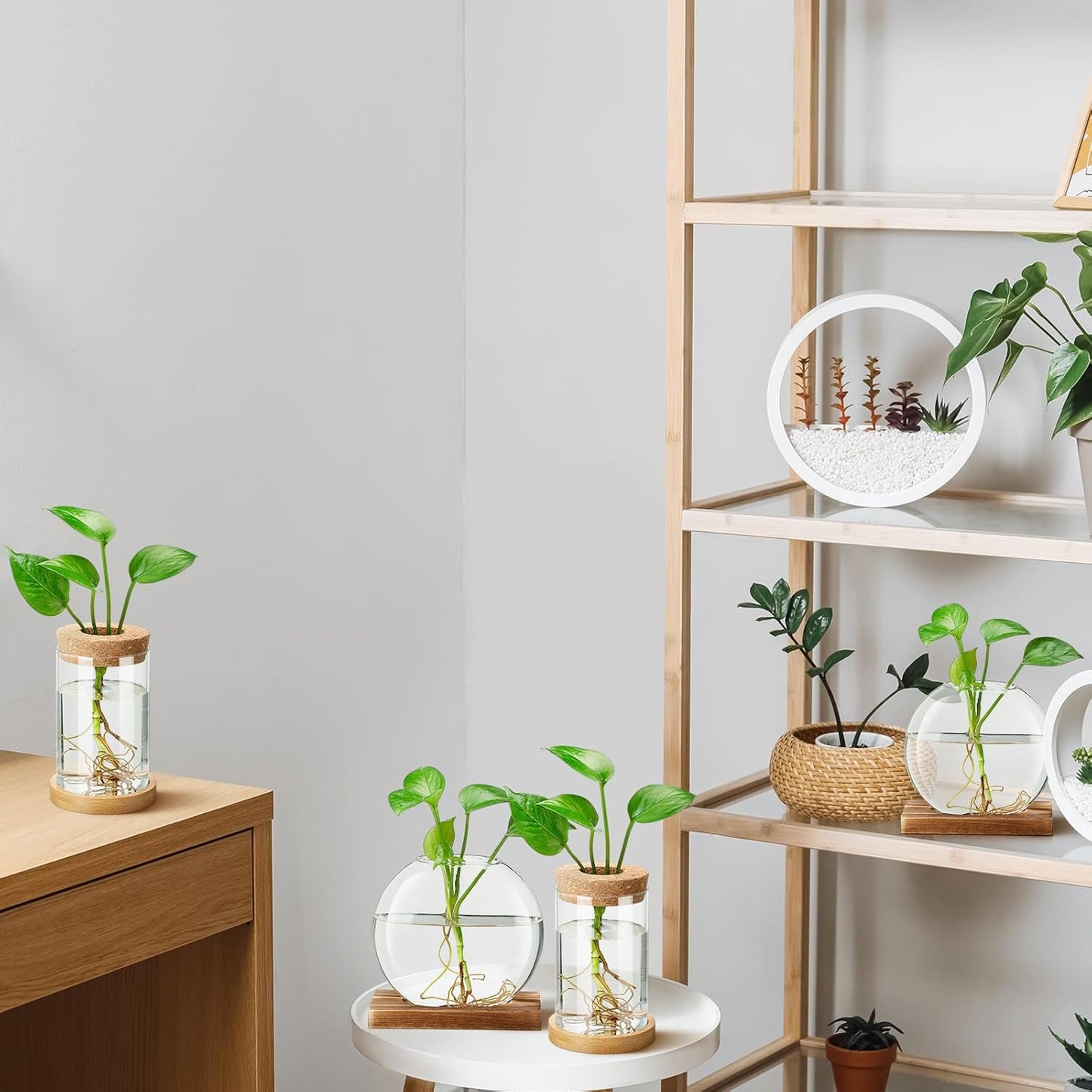 Layhit 4 Pcs Plants Propagation Stations vases Glass Planters with Wooden Lid and Bamboo Stand for Hydroponic Plants Gardening Gifts for Women Mom Home Office Tabletop Decoration(Novelty Style)