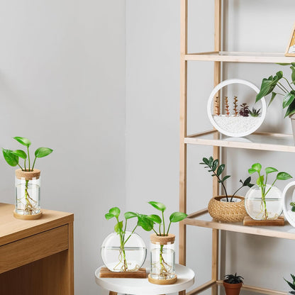Layhit 4 Pcs Plants Propagation Stations vases Glass Planters with Wooden Lid and Bamboo Stand for Hydroponic Plants Gardening Gifts for Women Mom Home Office Tabletop Decoration(Novelty Style)