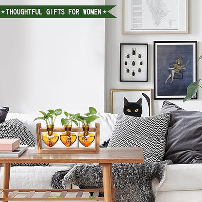 Plant Terrarium Propagation Stations Faith Hope Love Hydroponics Home Garden Decoration Gift for Women with Wooden Stand Heart Shaped Colored Glass Vase