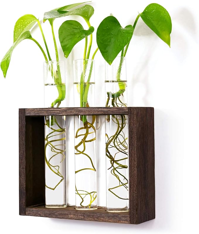 Wooden Propagation Station with 3 Glass Test Tubes, Tabletop Glass Terrarium Holder for Cuttings Hydroponics, Home Office Desk Decor Gift for Women Mom Plant Lovers, Brown