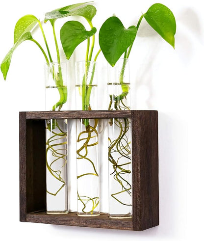 Wooden Propagation Station with 3 Glass Test Tubes, Tabletop Glass Terrarium Holder for Cuttings Hydroponics, Home Office Desk Decor Gift for Women Mom Plant Lovers, Brown