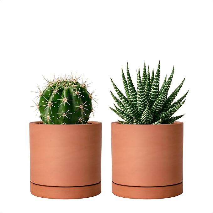 D'vine Dev X-Small 4 Inch Terracotta Plant Pot with Drainage Hole and Saucer, Round Cylinder Planter Pot for Indoor Plants, Set of 2, 40-X-B-1