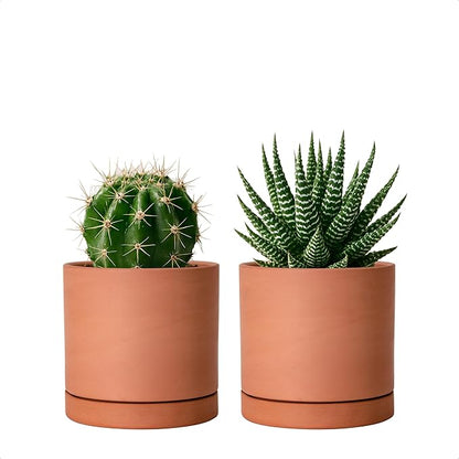D'vine Dev X-Small 4 Inch Terracotta Plant Pot with Drainage Hole and Saucer, Round Cylinder Planter Pot for Indoor Plants, Set of 2, 40-X-B-1