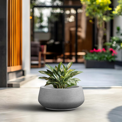 Kante 16.9" Dia Round Concrete Bonsai Planters, Outdoor Indoor Garden Plant Pot with Drainage Hole for Home, Patio, Garden, Concrete Gray