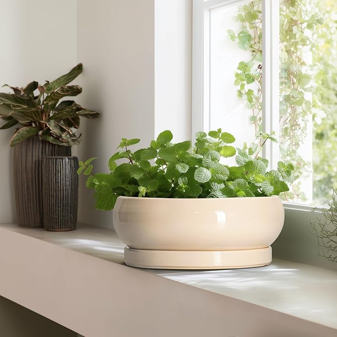 Large Succulent Planters - 13 Inch Ceramic Bonsai Pots Indoor Outdoor, Shallow Planter with Drainage Hole and Tray, Round Planter Bowl, Large Bonsai Pot, Home Decor, Housewarming Gift, Beige