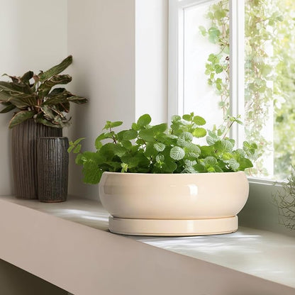 Large Succulent Planters - 13 Inch Ceramic Bonsai Pots Indoor Outdoor, Shallow Planter with Drainage Hole and Tray, Round Planter Bowl, Large Bonsai Pot, Home Decor, Housewarming Gift, Beige