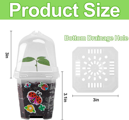 EBaokuup 10 Pcs Clear Plant Nursery Pots with Humidity Dome-3" Reusable Plastic Gardening Pot with Printed Labels-Small Seed Starting Pots for Seedlings,Vegetables,Succulents,Cuttings