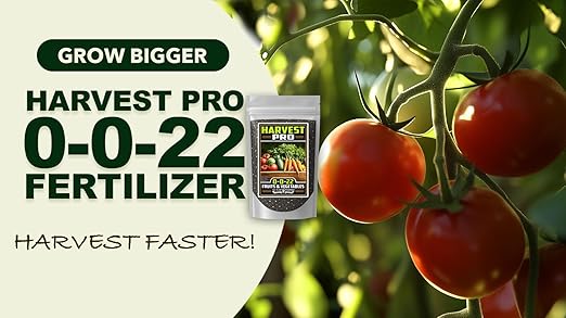 Fertilizer Commerical Grade | Harvest Pro 0-0-22 | 3 Pounds | Custom Professional Mix Blend | Potassium & Magnesium for Fruit, Citrus & Vegetable Plants | Support Bud Development, Flowering & Fruit
