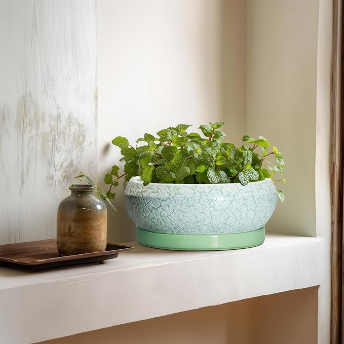 Bonsai Pots Ceramic - 8 Inch Succulent Pots Indoor Outdoor, Shallow Planters with Drainage Hole and Tray, Ceramic Planter Bowl, Round Planter, Apartment Decor, Gifts for Plant Lovers, Green