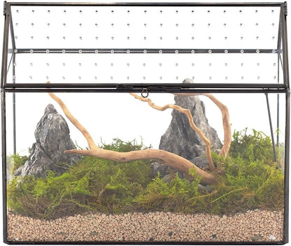 NCYP House Shape Glass Terrarium with Acrylic Lid - 10.2x5.9x8.2 Inches Large Geometric Box for Snails, Ferns, Succulents, Air Plants, Indoor Tabletop Decor, Handmade (Terrarium Only)