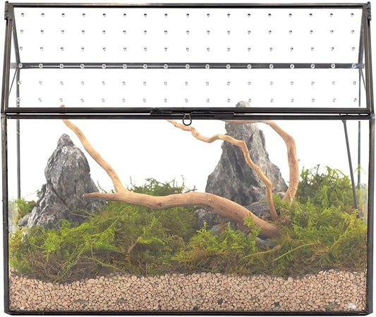 NCYP House Shape Glass Terrarium with Acrylic Lid - 10.2x5.9x8.2 Inches Large Geometric Box for Snails, Ferns, Succulents, Air Plants, Indoor Tabletop Decor, Handmade (Terrarium Only)