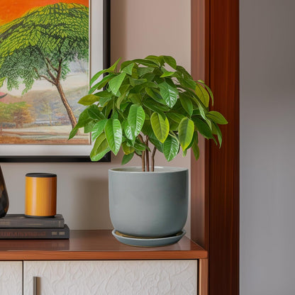 Ceramic Planter for Indoor Outdoor Plants - Cylinder Decorative 8 Inch Plant Pot with Drainage Hole and Saucer, Modern Home Decor, Gray