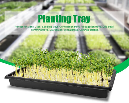 20 Pack 1020 Trays, No Drain Holes, 20" x 10", Extra Thick Heavy Duty Seed Starting Trays -Reusable Propagation Flats for Microgreens, Seedlings, Plant Germination, Fodder and Transplant