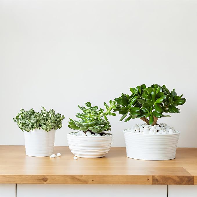 Mr. Fireglass 10 lbs White Pebbles,1/5" Natural Decorative River Rocks Aquarium Gravel for Indoor Plants, Vases, Succulents and Outdoor Garden Landscaping