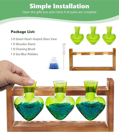 Nacome Plant Terrarium for Office Decor: Birthday Gifts for Plant Lovers Women Mom Wife - Wooden Stand Tabletop Planter 3 Bulb Glass Vase Heart Shaped for Hydroponics Indoor Home(Green)