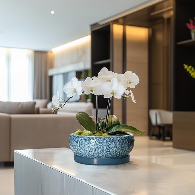 Ceramic Bonsai Pots - 8 Inch Succulent Planters Indoor Outdoor, Bonsai Planters with Drainage Hole and Saucer, Shallow Planter, Round Planter Bowl, Home Decor, Gifts for Plant Lovers, Blue