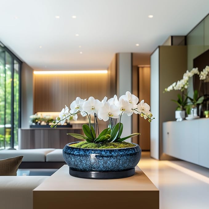 Bonsai Pots - 13 Inch Ceramic Succulent Pots for Indoor Outdoor, Large Succulent Planter with Drainage Hole and Saucer, Round Shallow Flower Planters, Porch Decor, Gardening Gifts, Blue