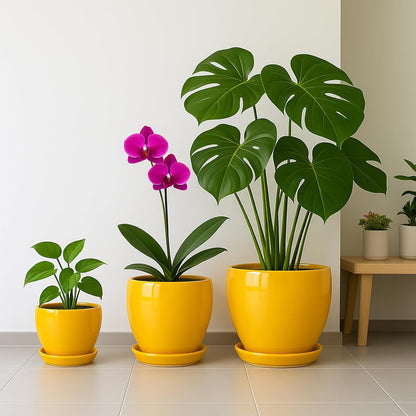 Deep Dream 8 Inch Plant Pots- Ceramic Pots for Plants with Drainage Hole and Saucer, Large Planter Pot for Indoor Plants Outdoor Decor, Yellow