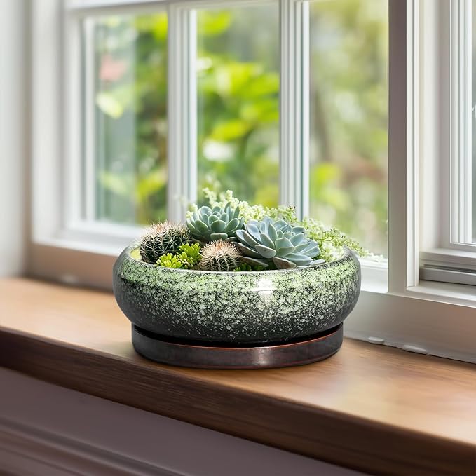 Bonsai Pots 8 Inch - Ceramic Succulent Pots with Drainage Hole and Saucer, Shallow Plant Pot for Indoor Outdoor, Bonsai Tree Pots, Round Planter Bowl, Home Decor, Gift for Plant Lover, Green