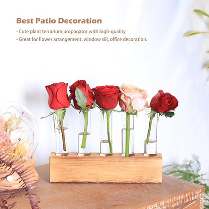 KAXYEW Plant Propagation Station, Plants Propagation Tubes, Gifts for Plant Lovers, Plants Cutting Holder Test Tube Vase Office Desk Garden Décor Gift for Her Mom Women Hydroponic Vase New Gift Box