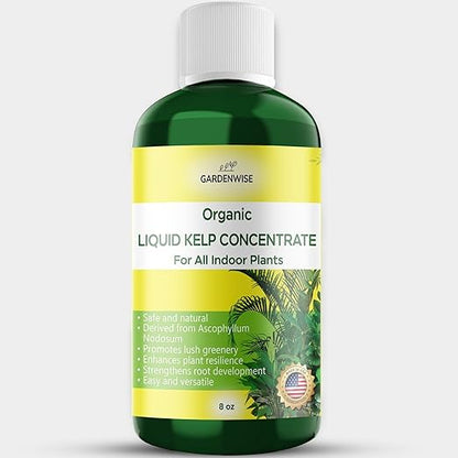 Organic Premium Kelp Seaweed Fertilizer - Liquid Hydroponics Fertilizer - Liquid Plant Food - Nutrient-Rich Soil Enhancer - Natural Plant Food for All Indoor Plants (8 oz)
