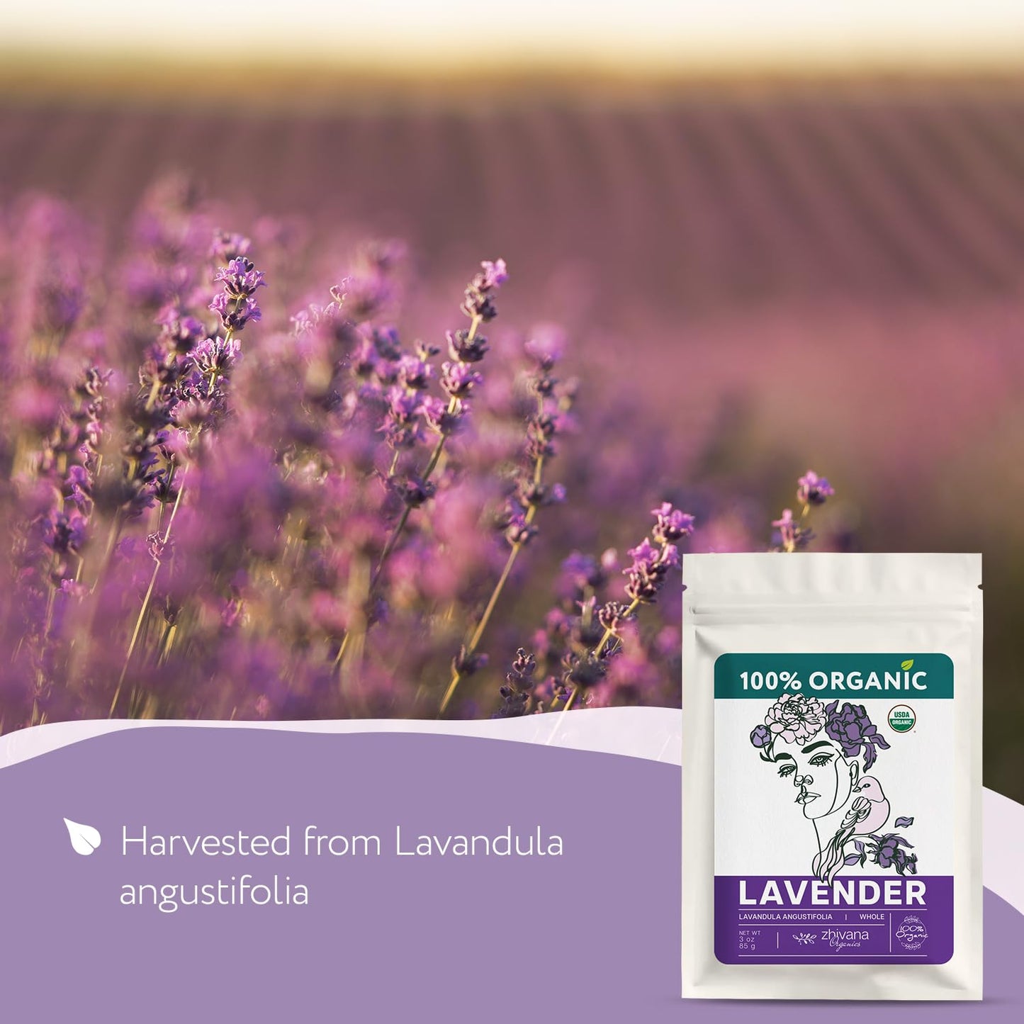 Organic Culinary Lavender Flowers for Tea, Cooking & Baking (3 oz.) - Food Grade Lavender Buds - Te de Lavander Para Dormir - Edible Lavander Herb